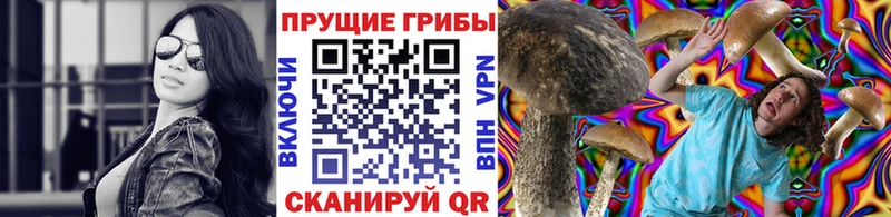 Псилоцибиновые грибы Cubensis  сколько стоит  Еманжелинск 